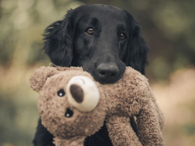 Serene Lake Serene Lake