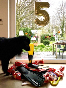 Serene Lake Serene Lake