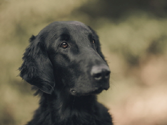 Serene Lake Serene Lake