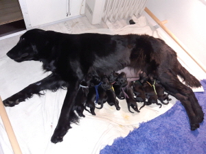 Serene Lake Serene Lake