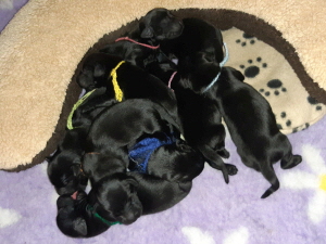 Serene Lake Serene Lake